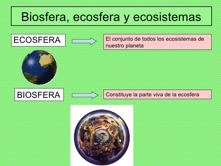 Resultado de imagen de ecosfera y biosfera